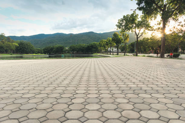 Best Custom Driveway Pavers  in Algonquin, IL